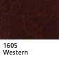 1605 - Western