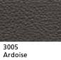 3005 - Ardoise